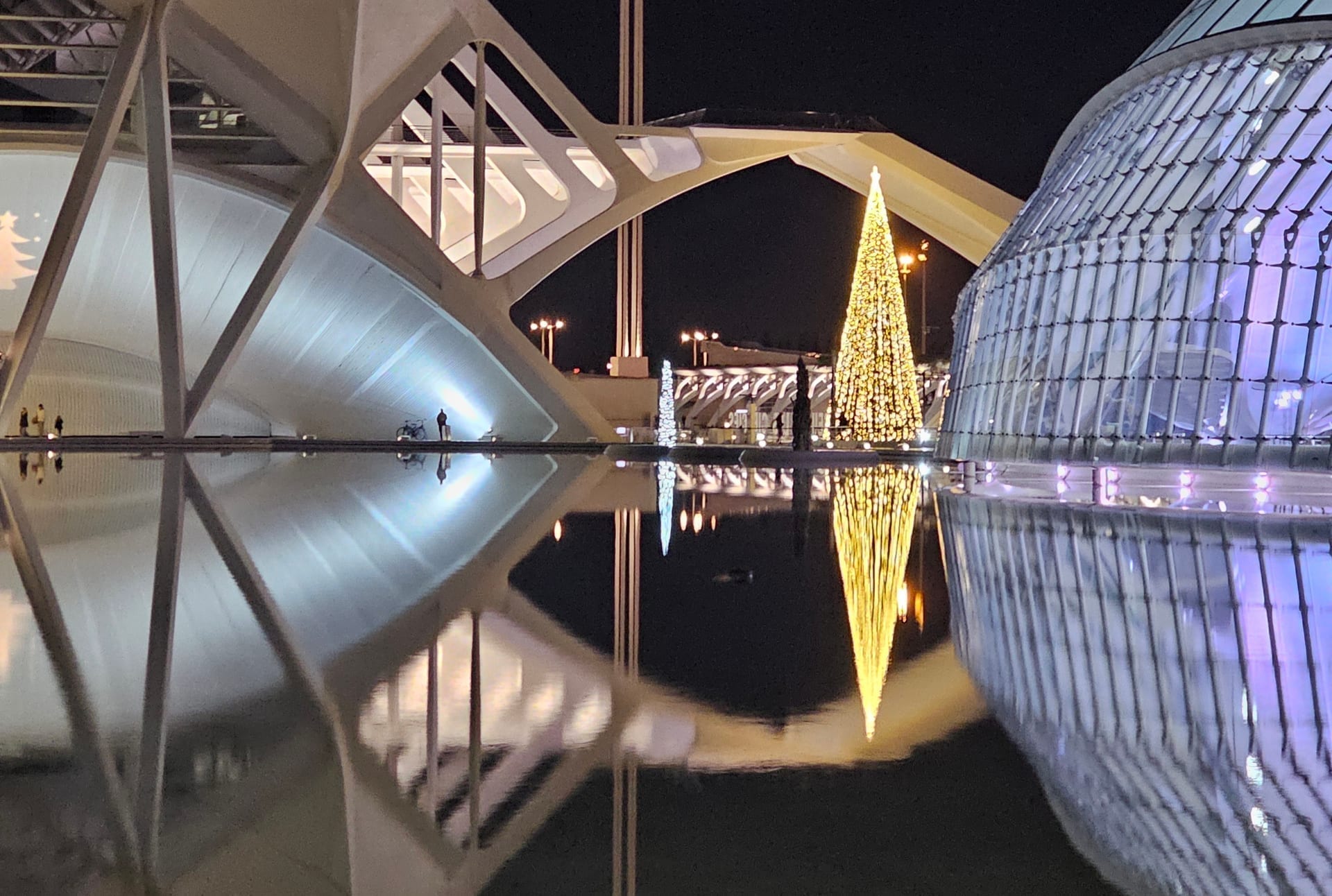 The architecture is the thing the surface is reflecting back.